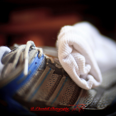 assorted_images-2012-191