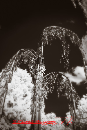 dow-gardens-infrared-2011-09-nas