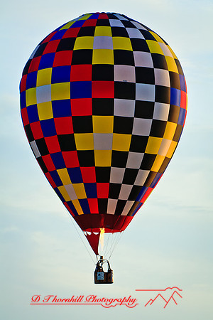 midland-balloon-2010_19-nik