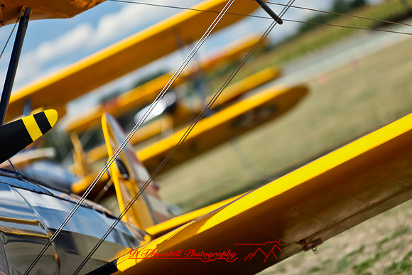 stearman-fly-in-2011-30