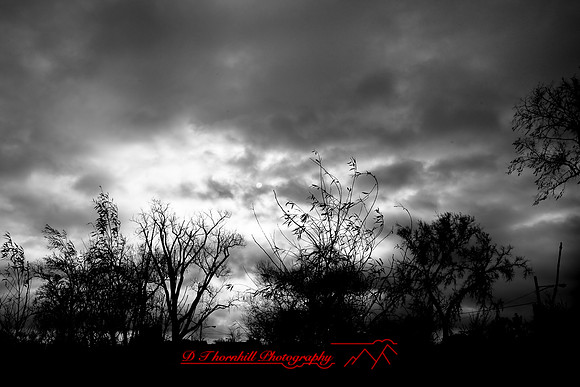 assorted_images-2009_54-nik.jpg