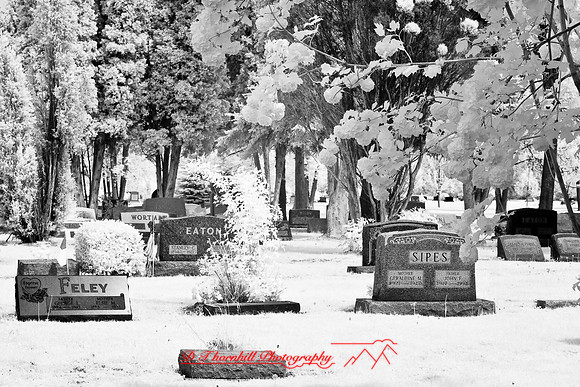 infrared-2008_047