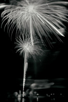 bay city infrared fireworks 2017 005-nas