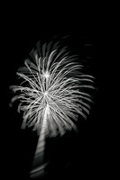 bay city infrared fireworks 2017 007-nas
