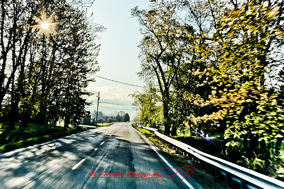 the-drive-2010_012