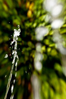 assorted_images-2011-157
