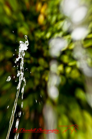 assorted_images-2011-157