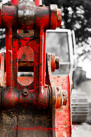 assorted_images-2011-170