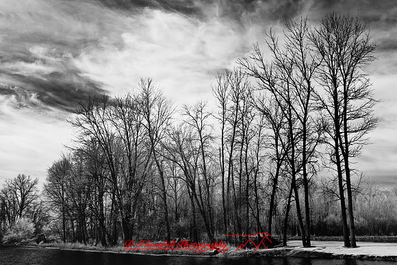 shiawassee-april_infrared-2010_02-nik