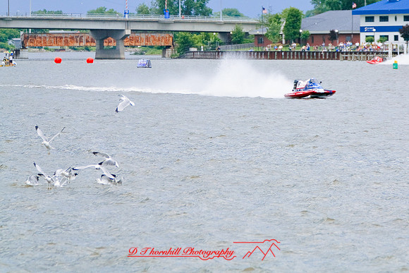 river_roar-fox_racing-2008_37.jpg