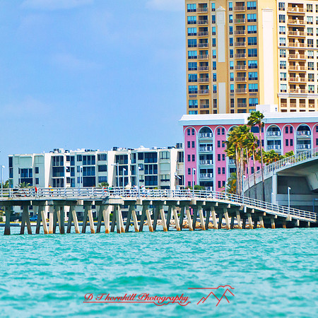 florida-2013-images074-nas