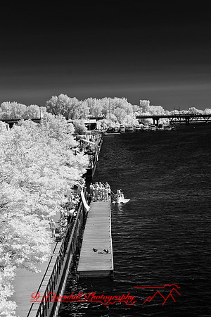 river-roar-2011-infrared-38