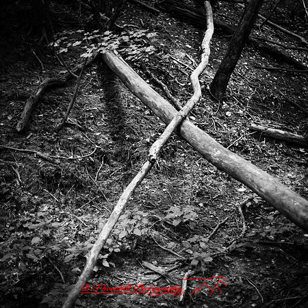 Galesburg 2017-076