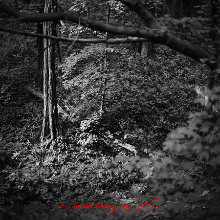 Galesburg 2017-078