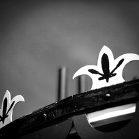 Galesburg 2017-003