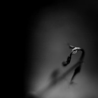 Wide Open-2017-043