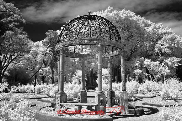 florida-2008-images-infrared_28.jpg