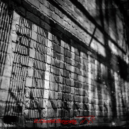 Wide Open-2017-068-nas