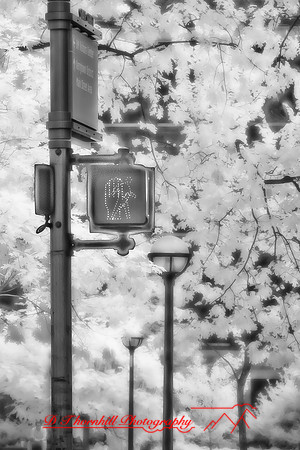 infrared-2010-random_030