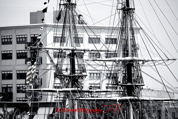 tall-ships_2006_013