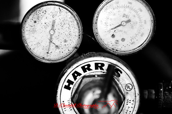 assorted_images-2011-199