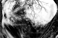 New Mexico 2020 - IR 005_DxO-NIK