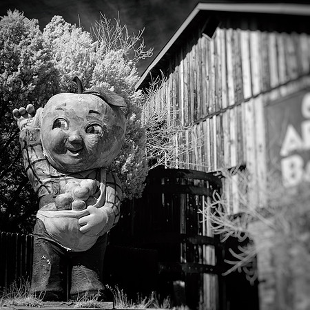New Mexico 2020 - IR 001_DxO