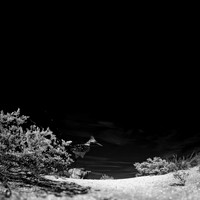 New Mexico 2020 - IR 007_DxO-NIK