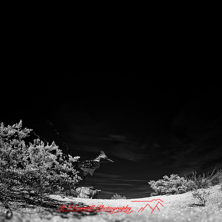 New Mexico 2020 - IR 007_DxO-NIK