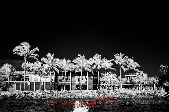 FL-March 2018-063_DxO