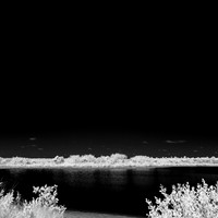 florida-2014-infrared-003