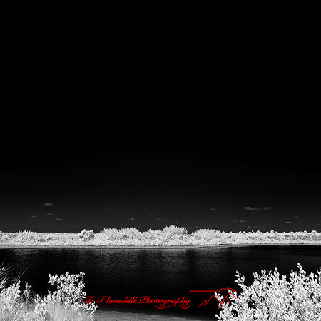 florida-2014-infrared-003