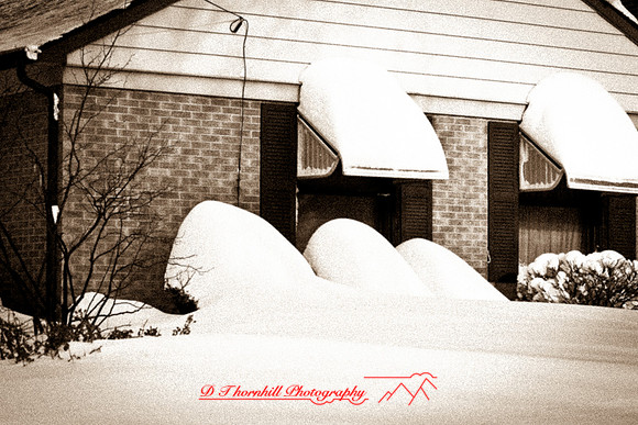 assorted_images-2012-028