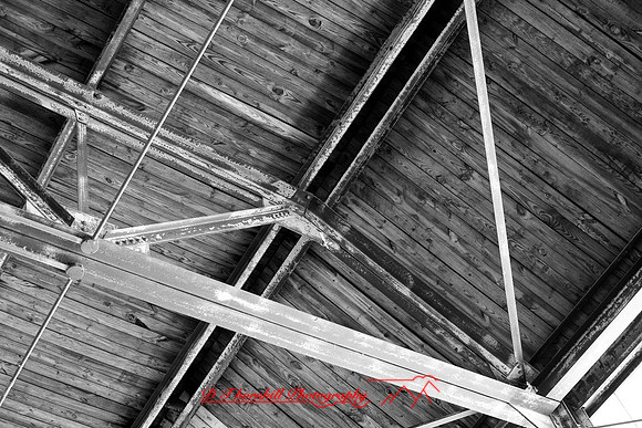 assorted-images-2006_010
