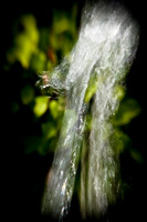assorted_images-2011-155