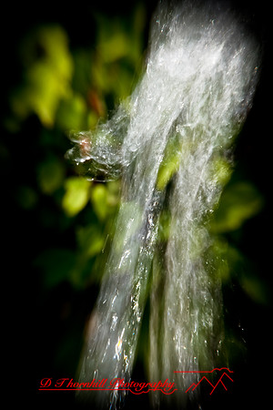 assorted_images-2011-155