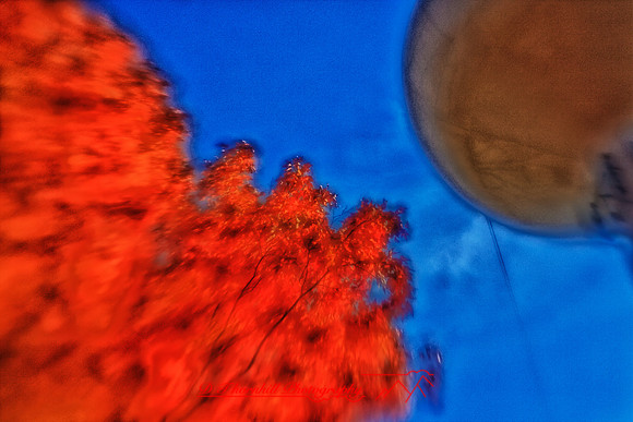 assorted-images-2010_102_HDR
