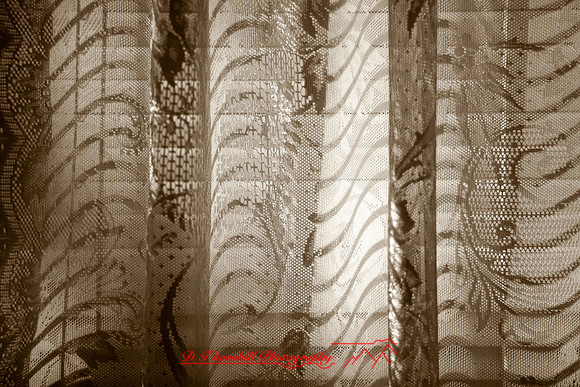 assorted-images-2006_50