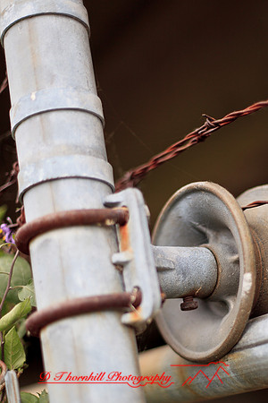 assorted_images-2012-088