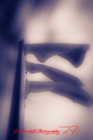 infrared_images-2011-008