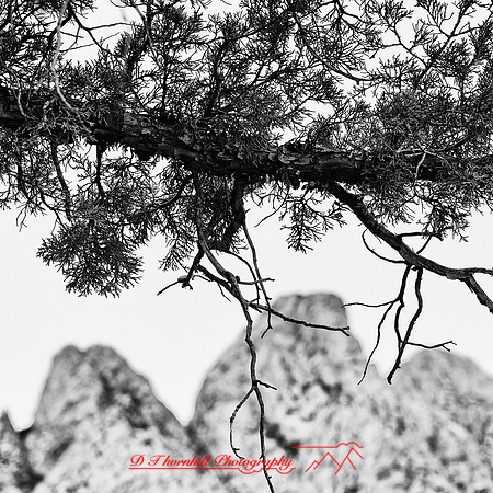 New Mexico 2020 - 013_DxO