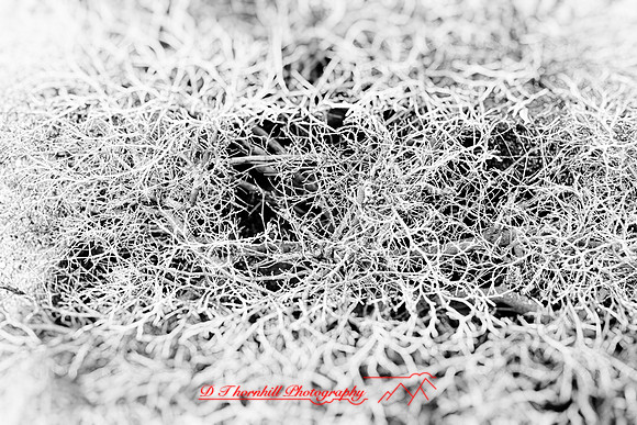 New Mexico 2020 - 016_DxO
