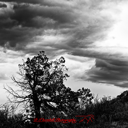 New Mexico 2020 - 015_DxO