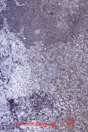 assorted_images-2011-185