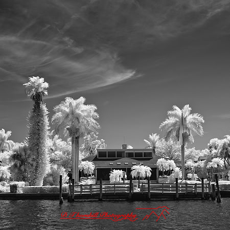 florida-2012-infrared-images_28