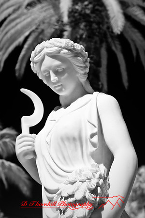 florida-2008-images-infrared_26.jpg