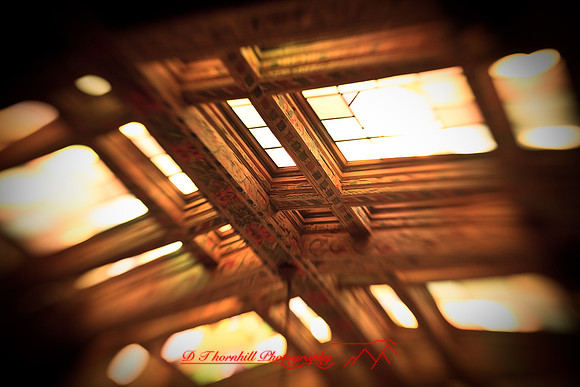 florida-2009-images_24.jpg