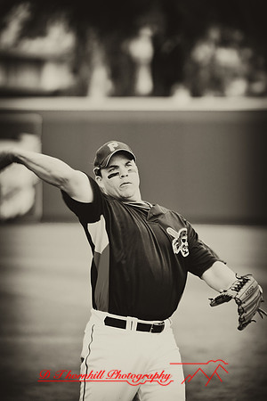 florida-2008-sports_13-nik.jpg