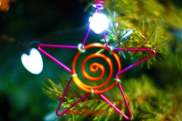 assorted-images-2006_69