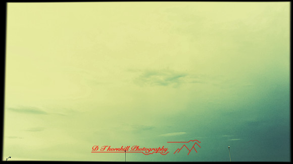 florida-march-2016-iphone-random-008